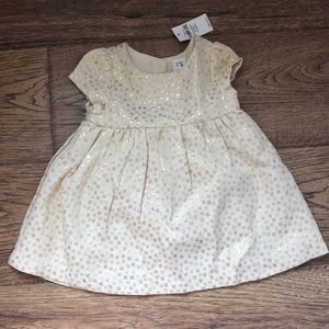 NWT Baby Gap Baby Girl Metallic Jacquard Dress